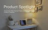 Product Spotlight: Handmade Matte Textured Vases and Terracotta Lamps Crafted in Pakistan